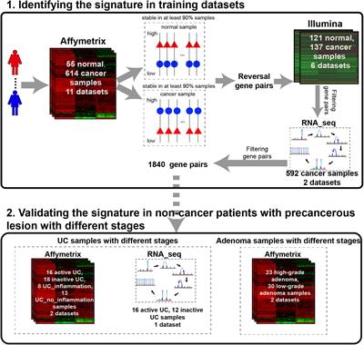 A Qualitative Transcriptional Signature for the Risk Assessment of Precancerous Colorectal Lesions